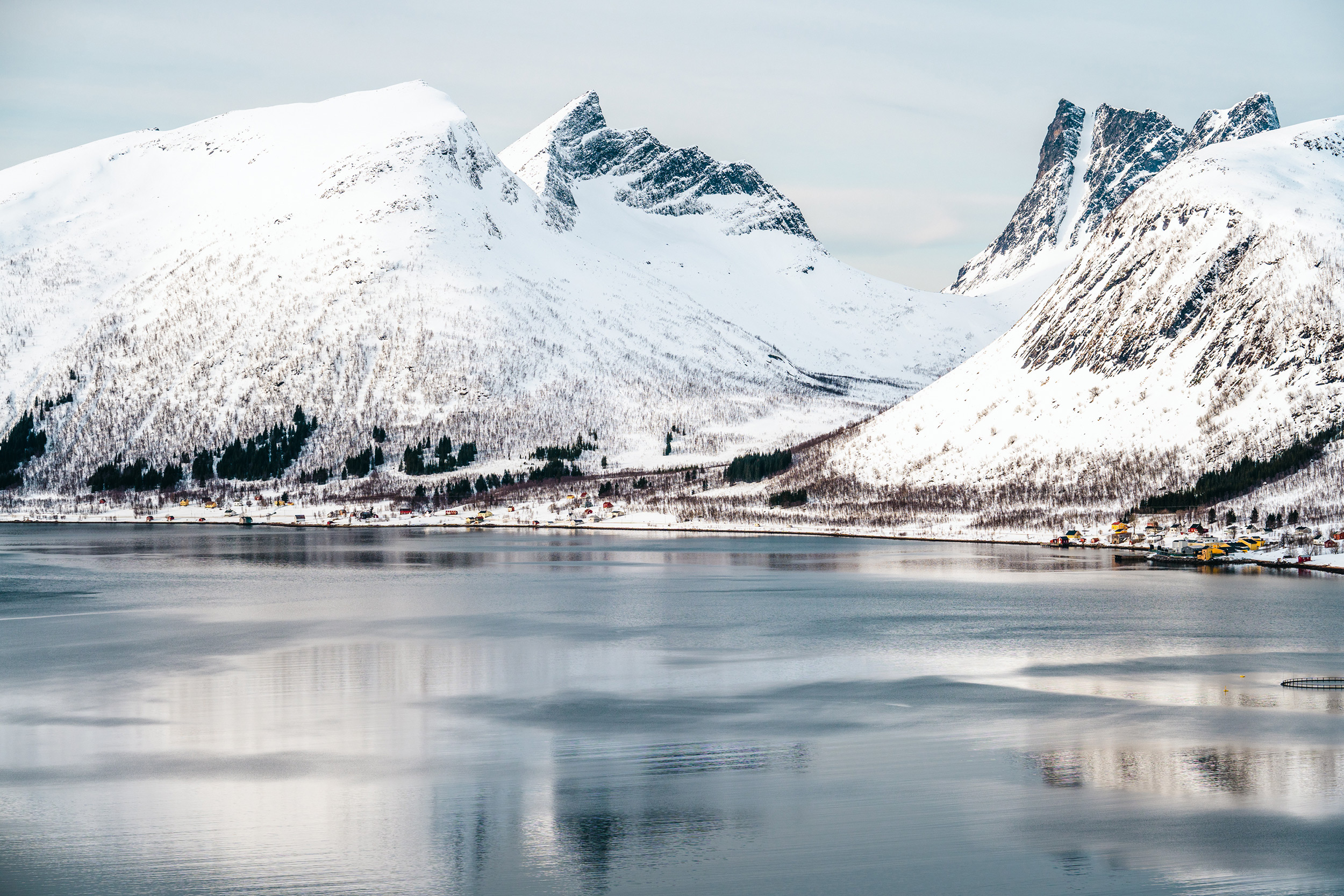 semi-frozen-sea-in-a-snowy-landscape.jpeg