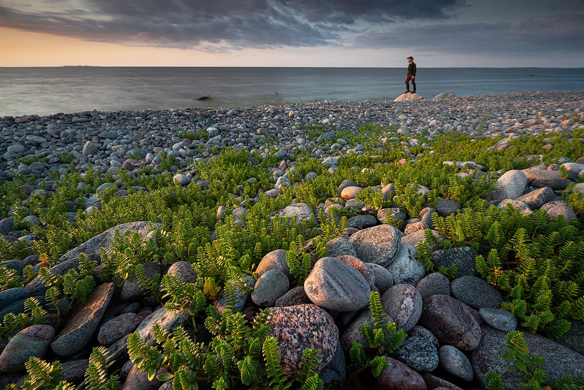 06_andrei-reinol_capturing_the_perfect_light_dsc03382x1200_web.jpeg