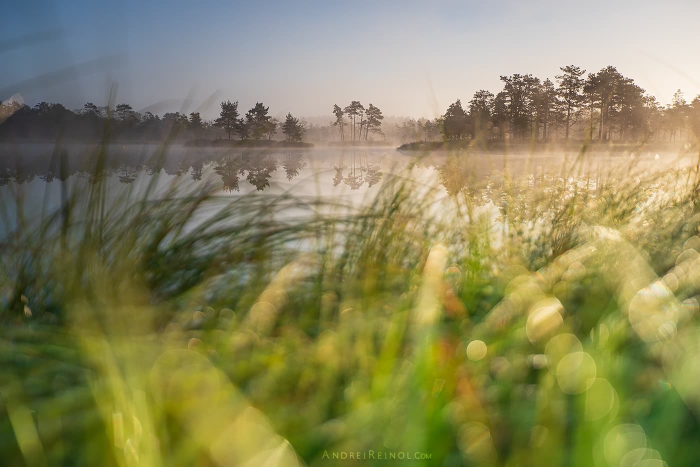 09_andrei-reinol_capturing_the_perfect_light_dsc06335x1400_web.jpeg
