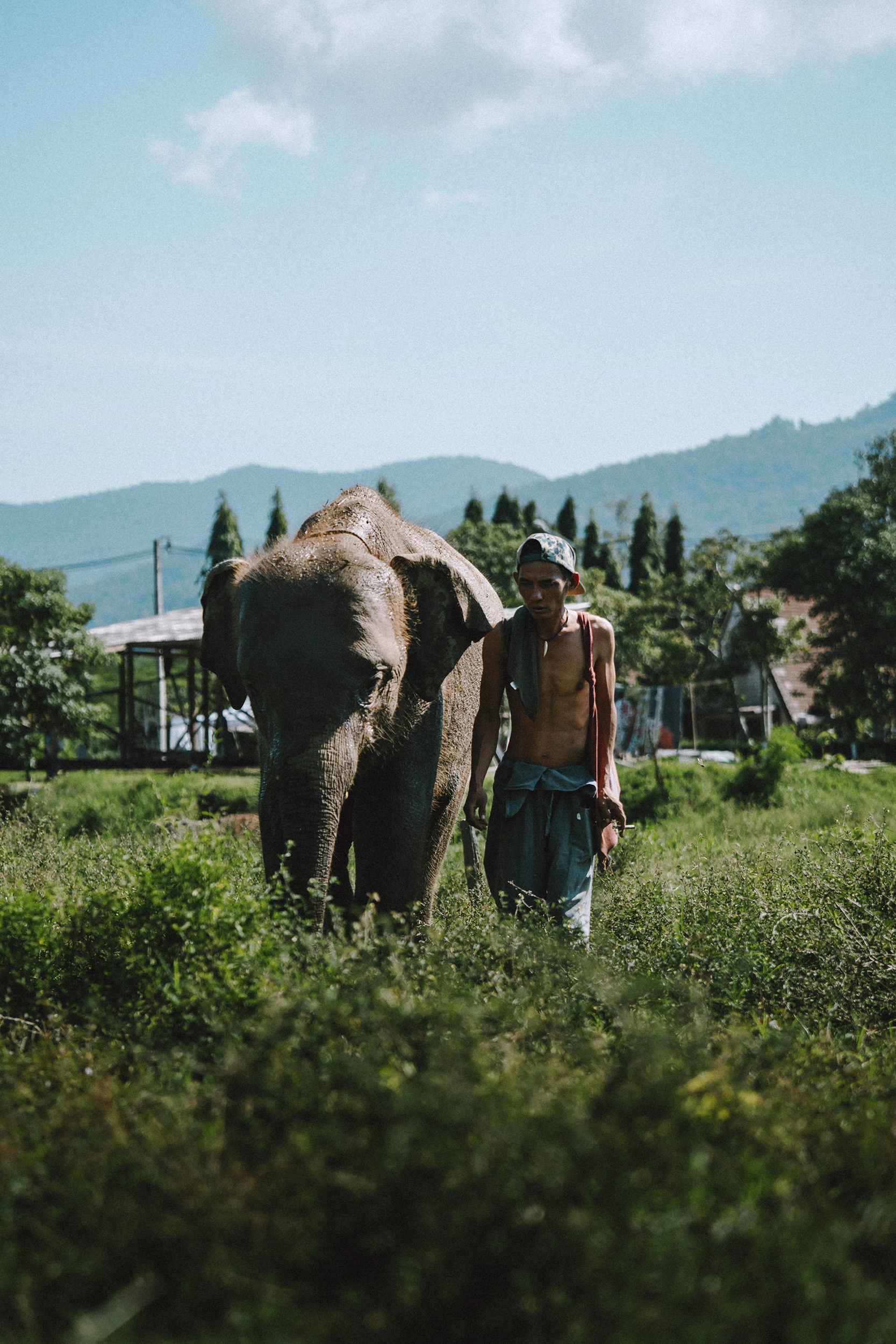man-walking-with-an-elephant-in-a-field.jpg