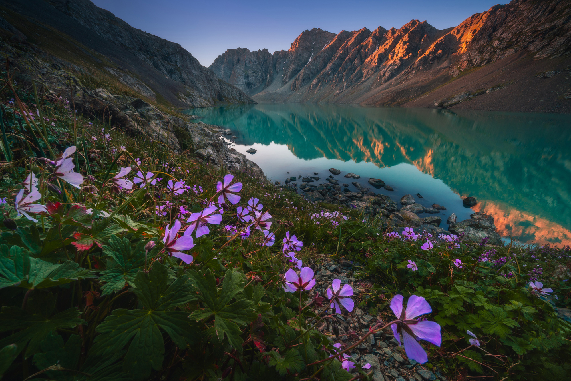 albert-dros-sony-alpha-7RIII-distant-mountains-reflected-in-a-still-lake-with-purple-flowers-in-the-foreground.jpeg