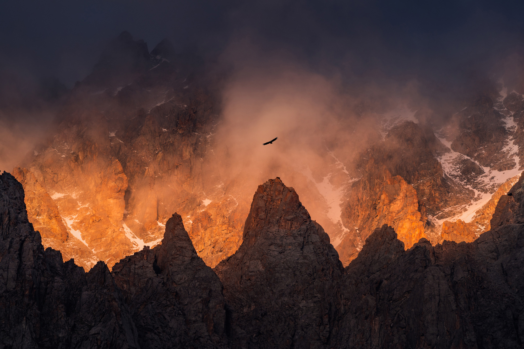 albert-dros-sony-alpha-7RIII-an-eagle-soars-above-volcanic-mountains-illuminated-in-fiery-orange.jpeg